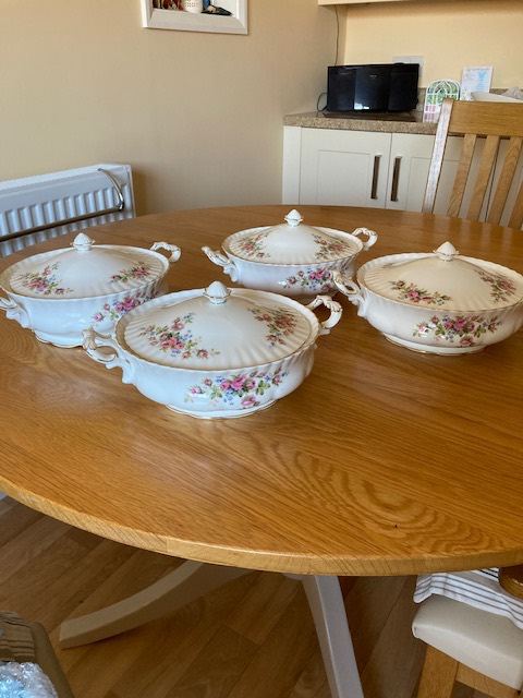 Vintage Royal Albert Moss Rose English china 