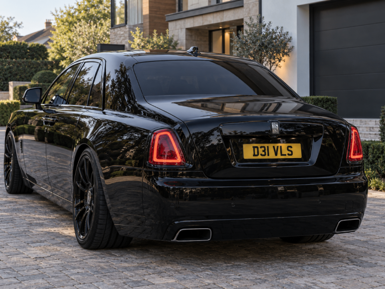 D31 VLS - DEVILS private car number plate