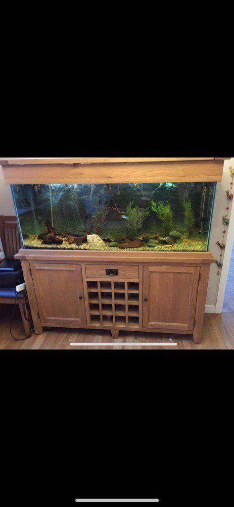 5ft Solid Oak wine rack marine tropical fish tank aquarium setup delivery🚚
