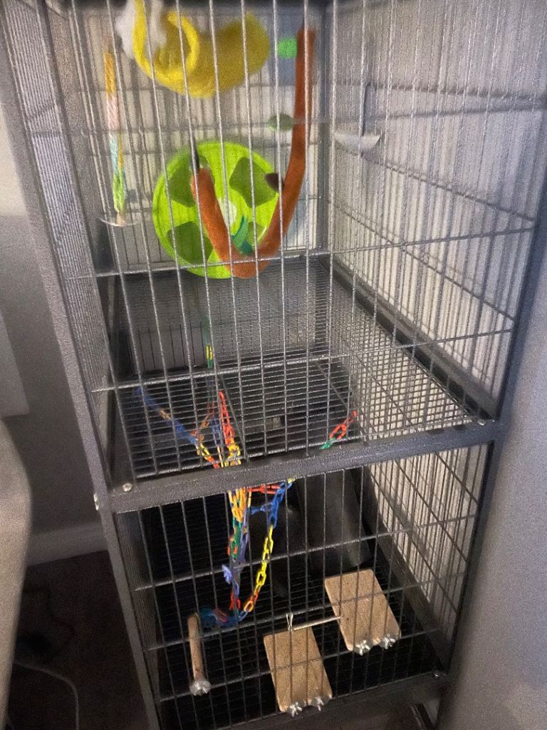 Cage 