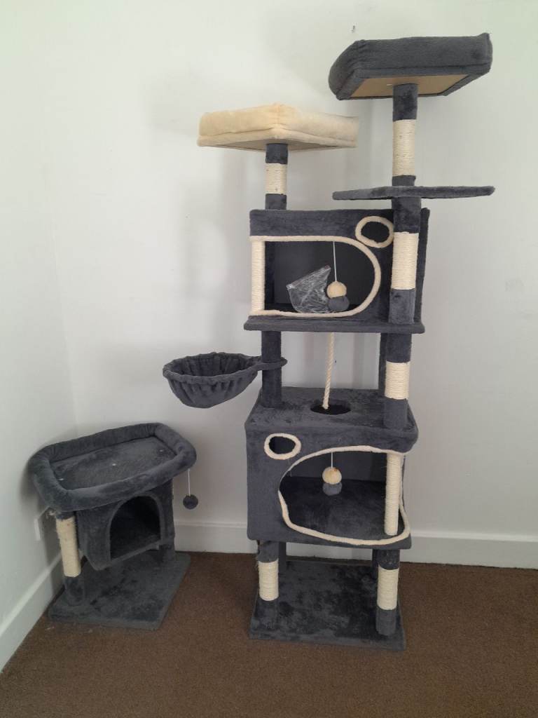 2 cat trees