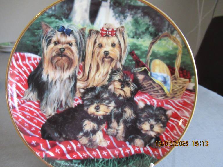 2 Wall Plates of Yorkshire Terriers