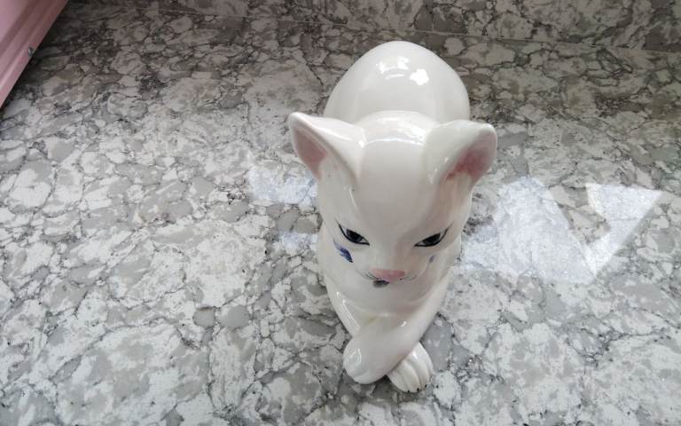 China cat