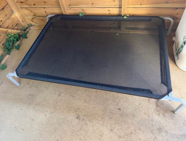 Raised dog bed X large