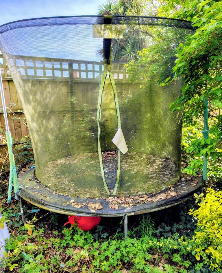 Free to collector Large Garden Trampoline with Safety Net – Needs a Clean