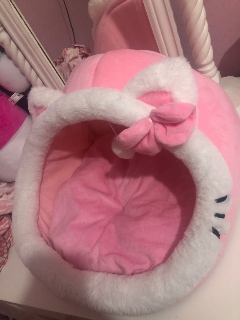 Cat bed 