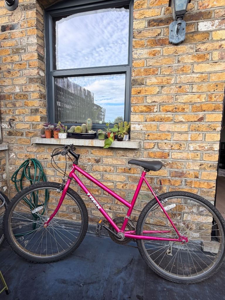 Trek ladies bike