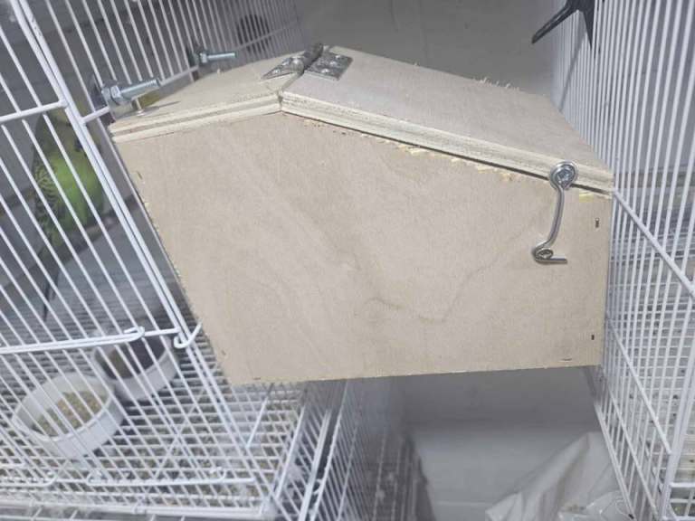 5 exhibition desk top style nestboxes 