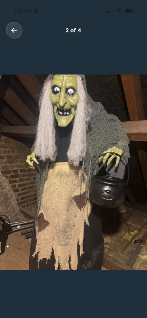 Halloween Witch Prop with Cauldron – Good Condition