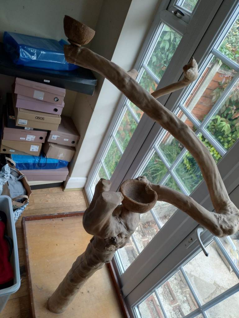 Java Wood Bird play stand and bird care products for sale. £100 for all 