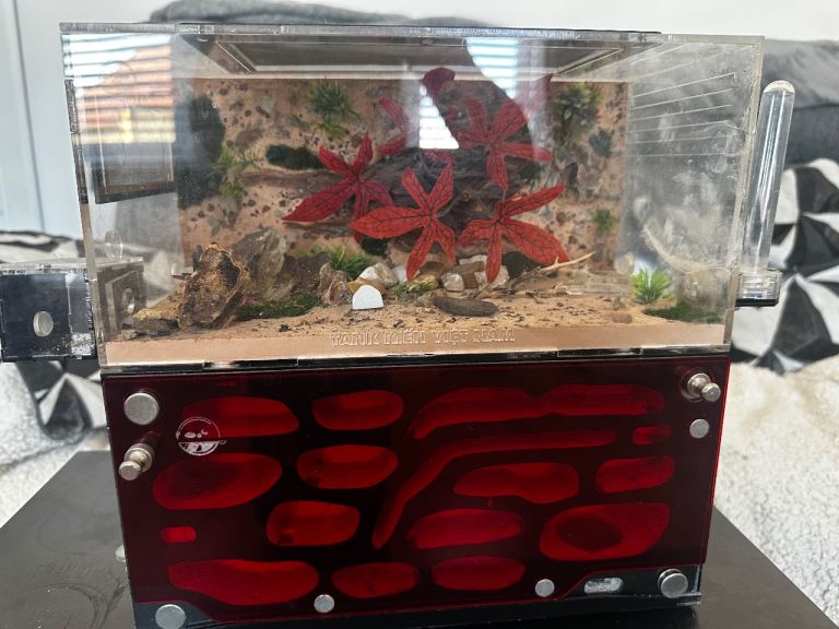 Ant home /enclosure