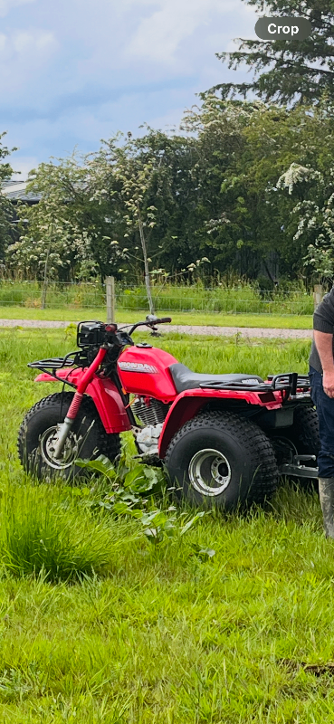 Honda ATC 250 ES Honda BIG Red