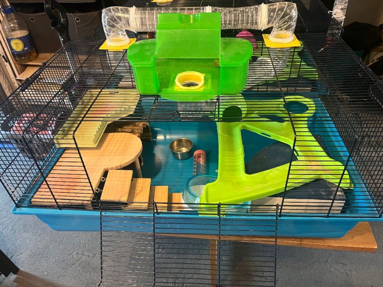 Large hamster cage