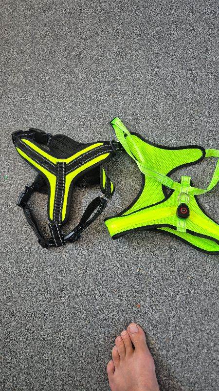 Dog harnesses 