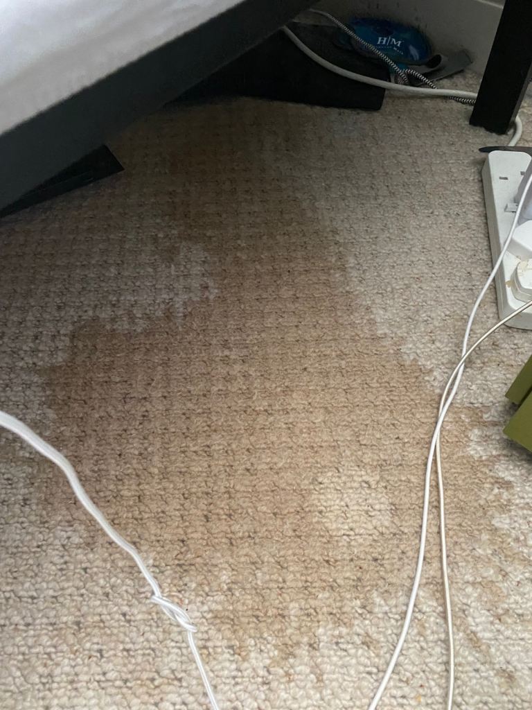 Carpet Cleaning Residential Or Commercial, End of tenancy, Wandsworth, Quick response/ 25% discount 