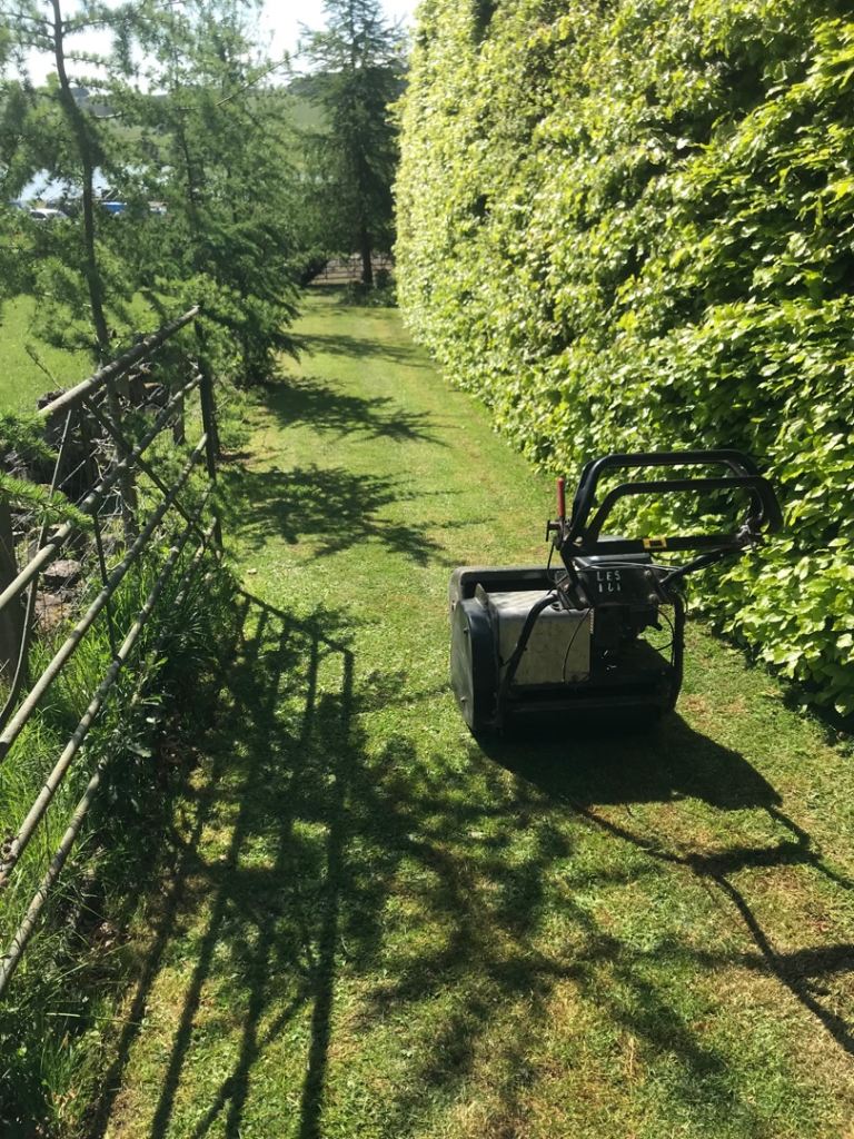 Allett Buffalo Drum Lawn Mower