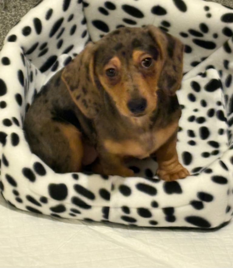 Gorgeous little girl 