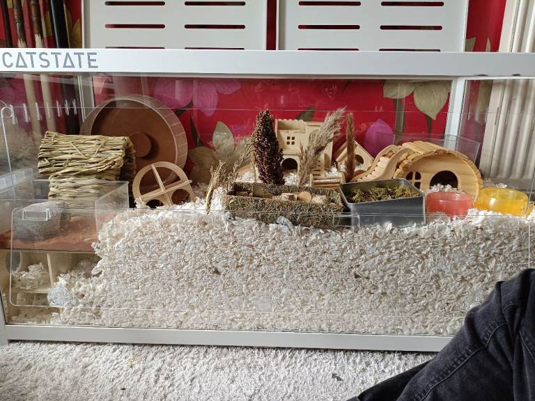 Full hamster bucastate enclosure high quality setup cage