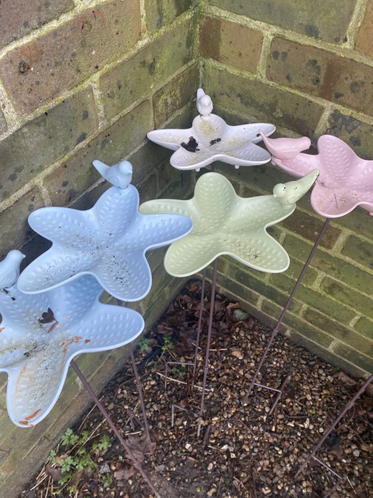 All bird baths now fiver each 