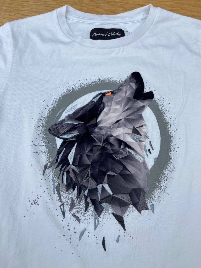 Boys T-Shirts,  4 for £25, size medium,  from Footasylum . 