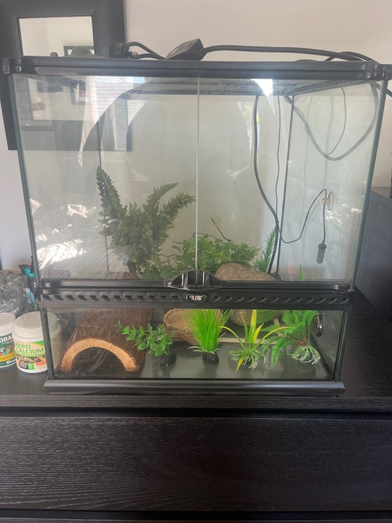 Exo Terra Reptile Vivarium 