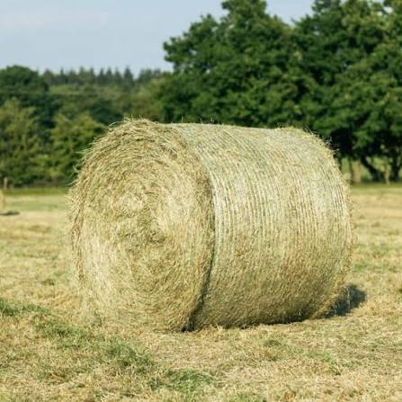 4ft round bale 