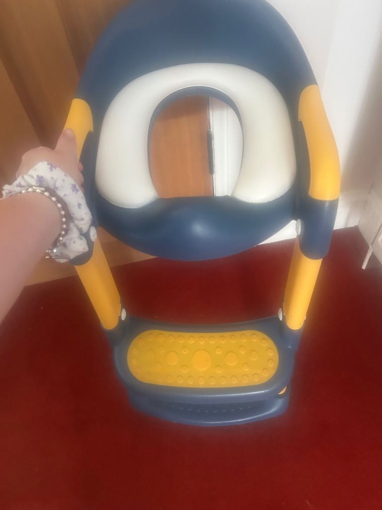 Toddler Potty Training Toilet Seat with Step – Good Condition