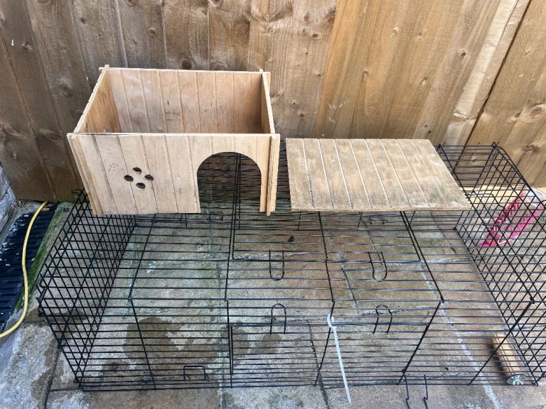 Rabbit cage and hut