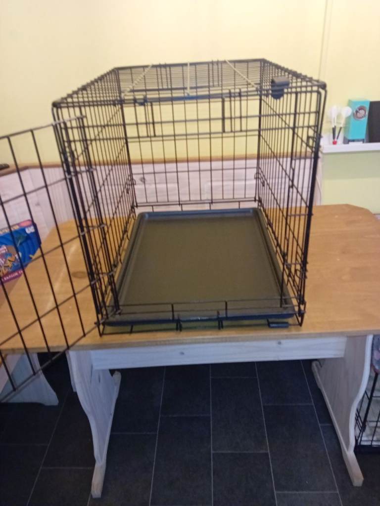 Dog crate 