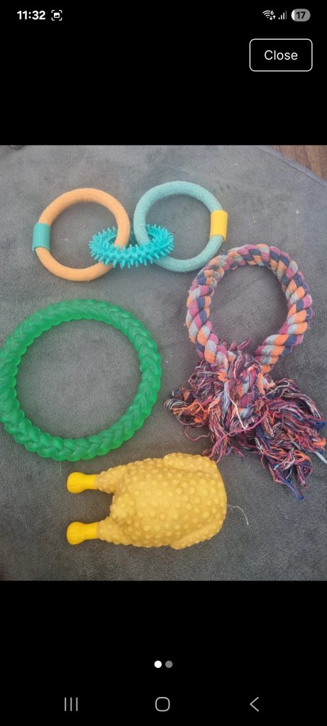 Dog toy bundle 