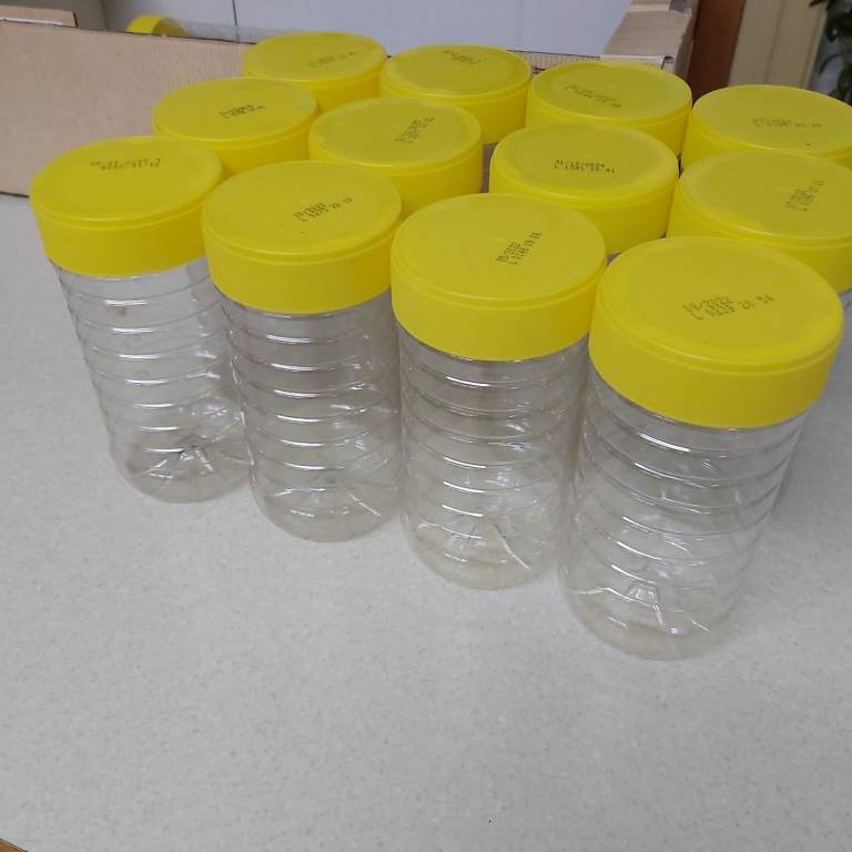 image for Empty Storage Jars x 12