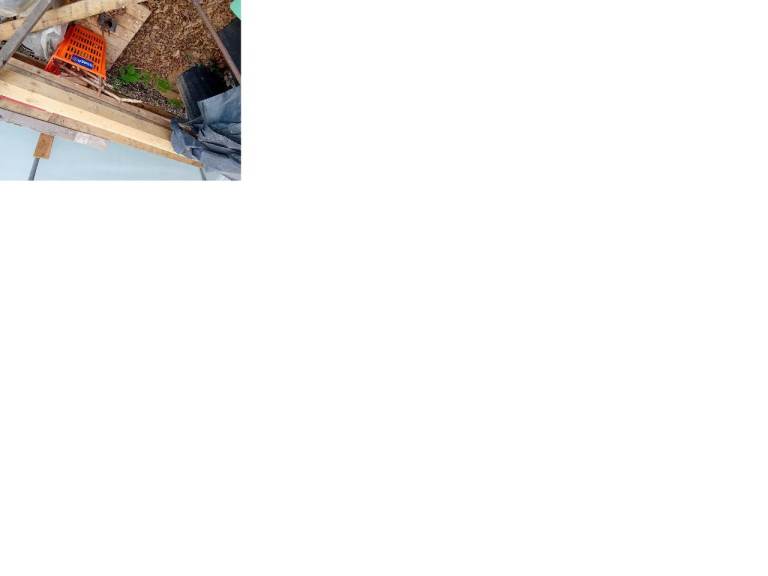 Large amount of wood 