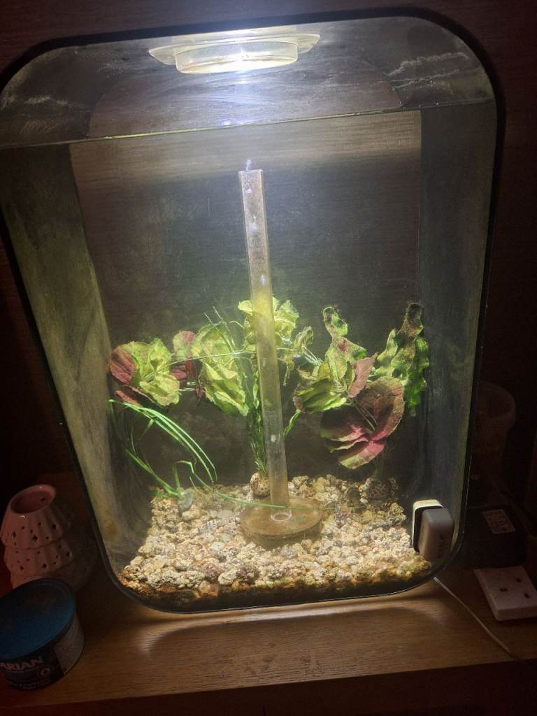 Fish tank (Biorb aquarium)