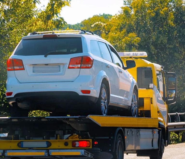 **PROFFESIONAL RECOVERY BUSINESS **