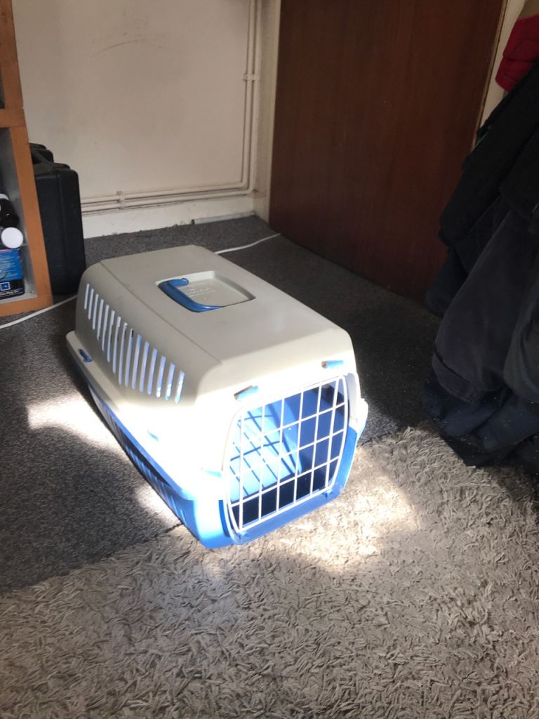 cat carrier 