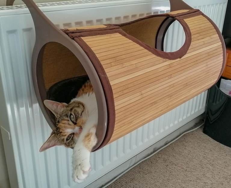 Cat Radiator Bed