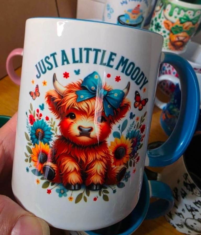 BNIB Ceramic Mug with 'Just a Little Moody' Highland Cow Design