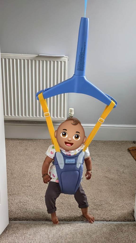Cosy Comfort Baby Bouncer - Like New!