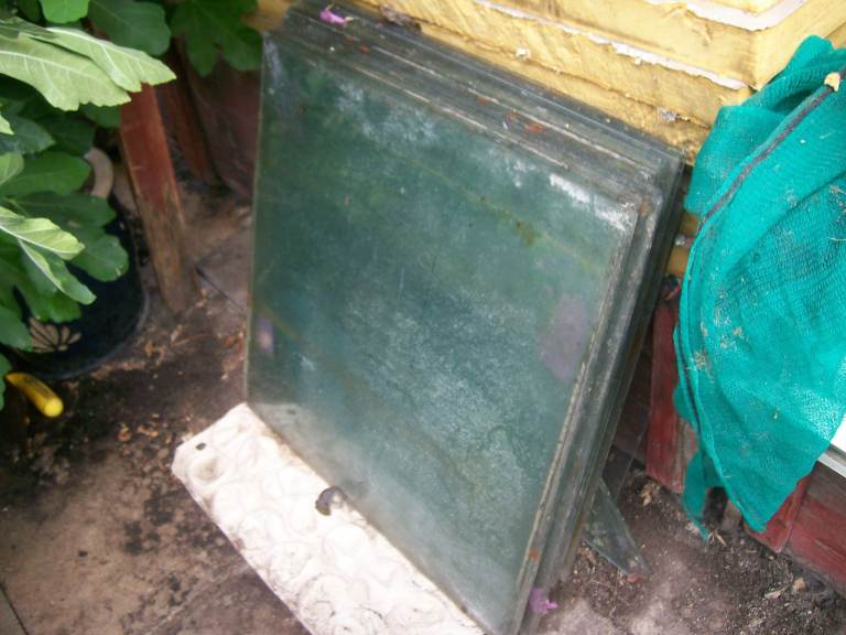 GREENHOUSE GLASS 24" x 24" just £2 each