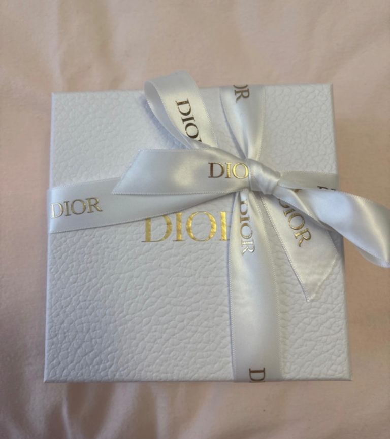 Christian Dior Lipstick And Holder