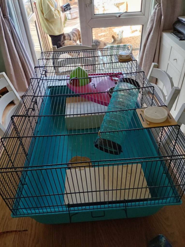Large Hamster or guinee pig Cage with Accessories