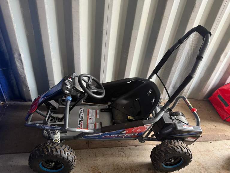 48v 1000watt electric buggy 