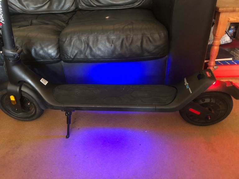 Zinc Formula E GZ1 250W Folding Electric Scooter