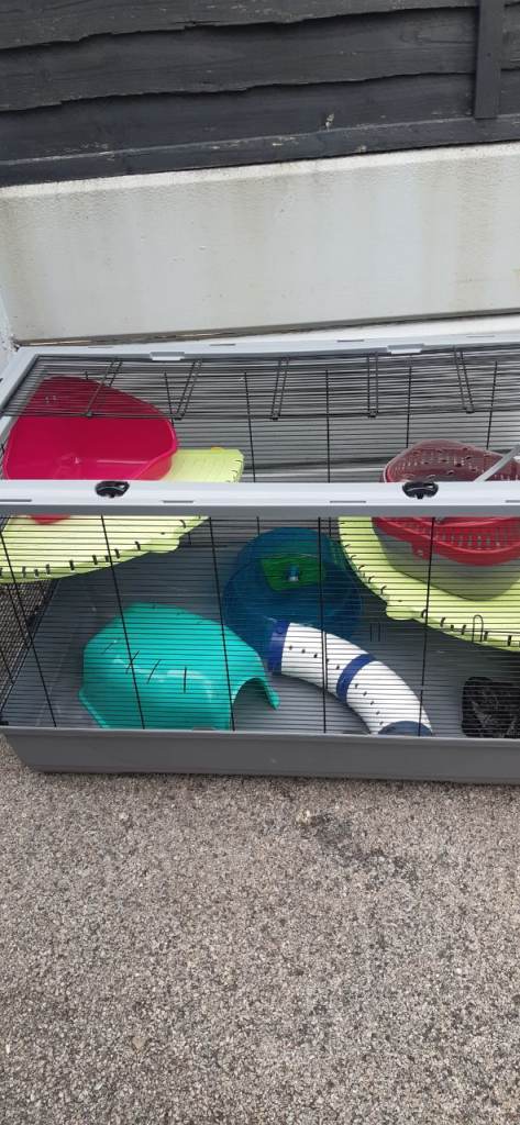 Large rodent cage 