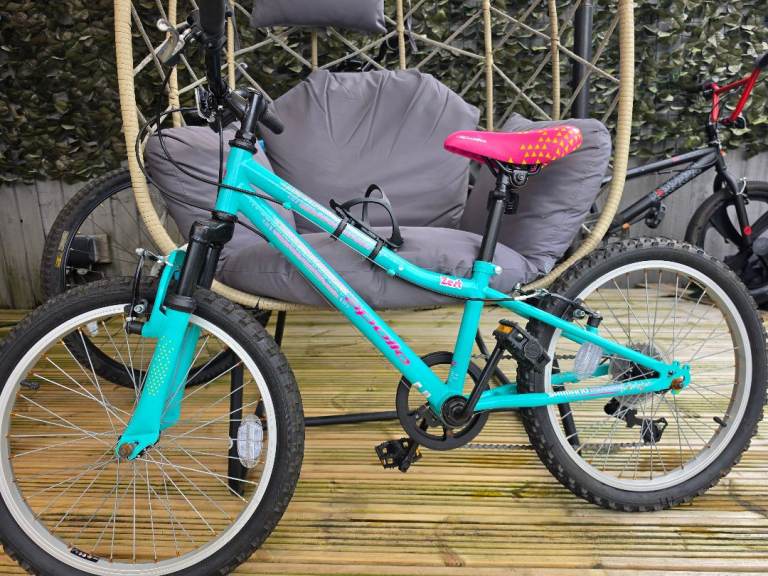 4yrs> girls bicycle