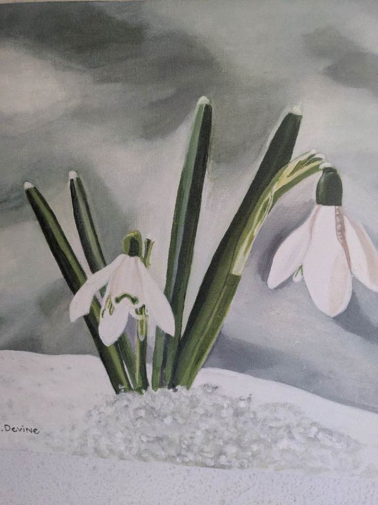 The January Flower oil painting 