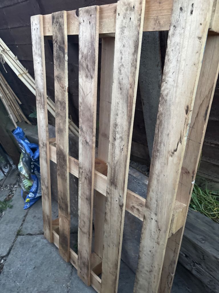 Pallet, wood