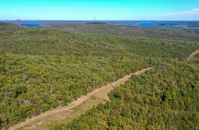 Plot of land in Arkansas USA fro only $995