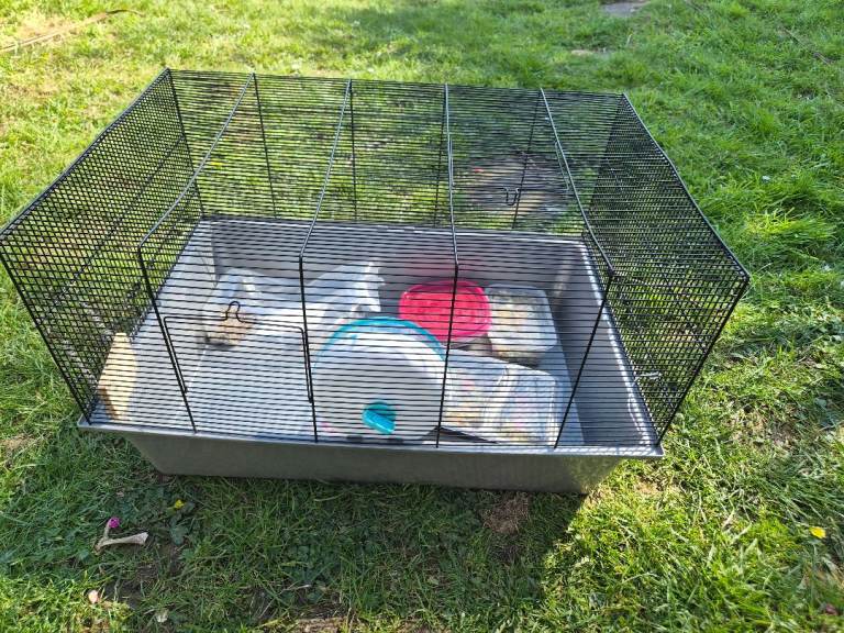 Hamster cage