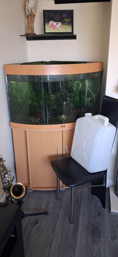 Large Corner Aquarium Fish Tank with Cabinet